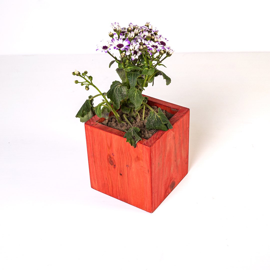 Orange Planter Skillet Decor Stand - waseeh.com